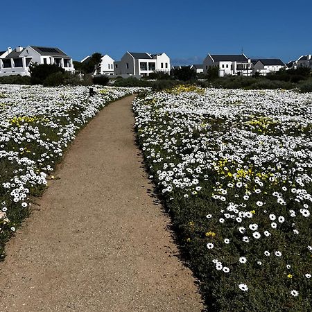 Clam Lagoon Langebaan Dış mekan fotoğraf