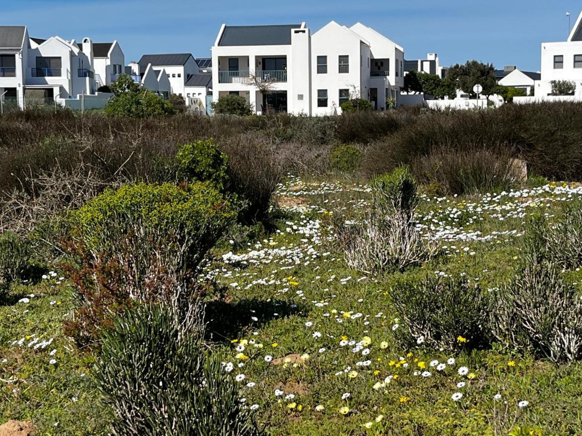 Clam Lagoon Langebaan Dış mekan fotoğraf