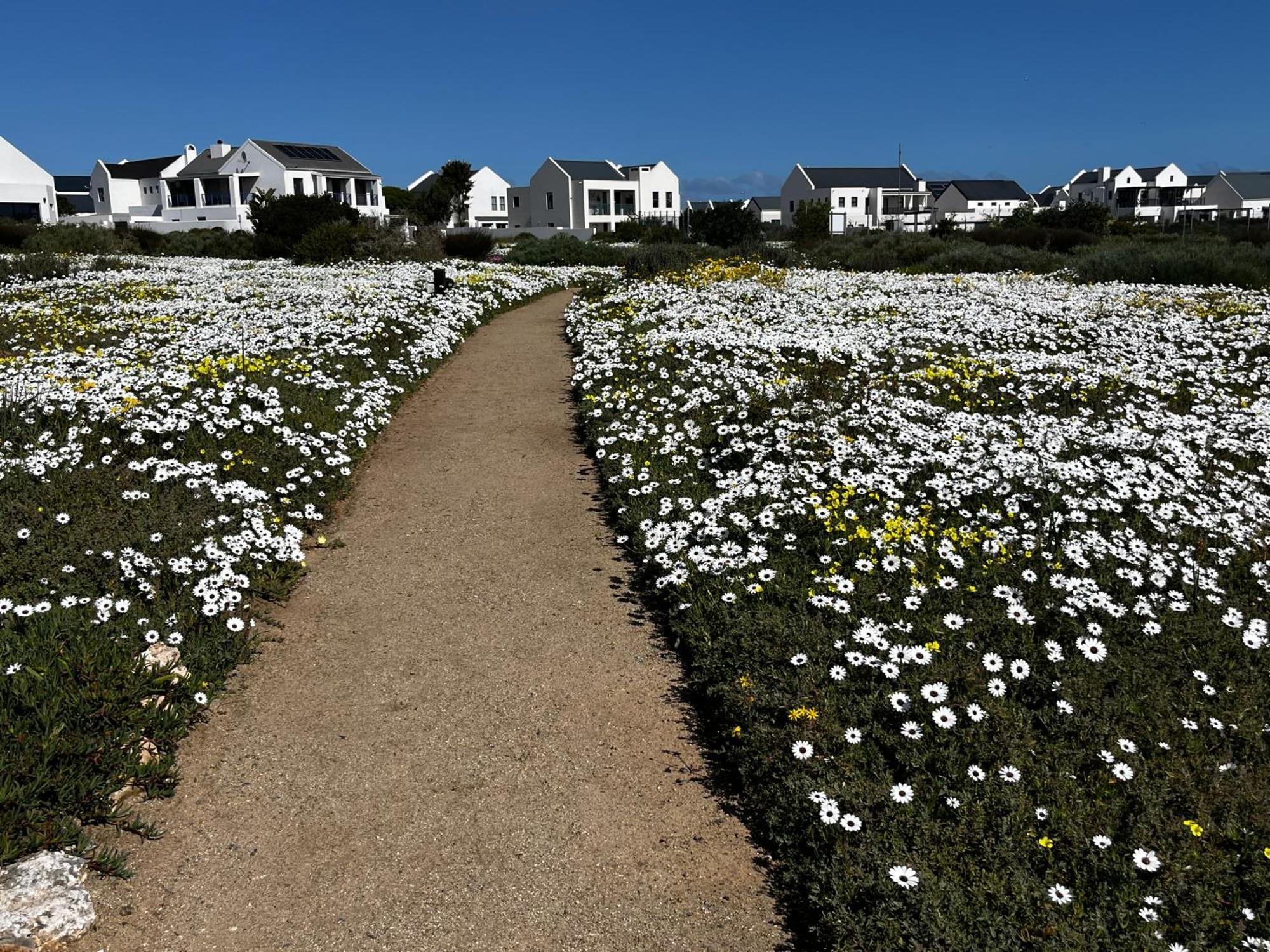 Clam Lagoon Langebaan Dış mekan fotoğraf